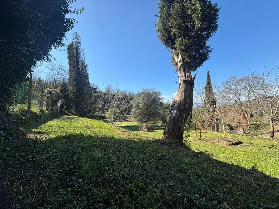 Immagine 12 di Terratetto in vendita  a Palaia