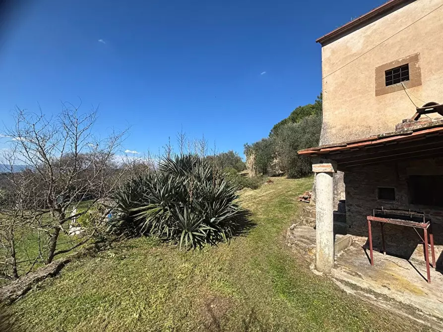 Immagine 15 di Terratetto in vendita  a Palaia