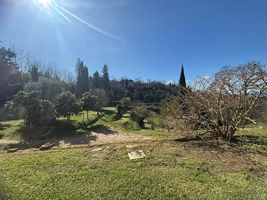 Immagine 18 di Terratetto in vendita  a Palaia