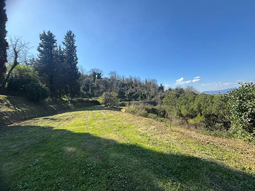Immagine 16 di Terratetto in vendita  a Palaia