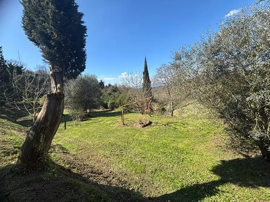 Immagine 11 di Terratetto in vendita  a Palaia