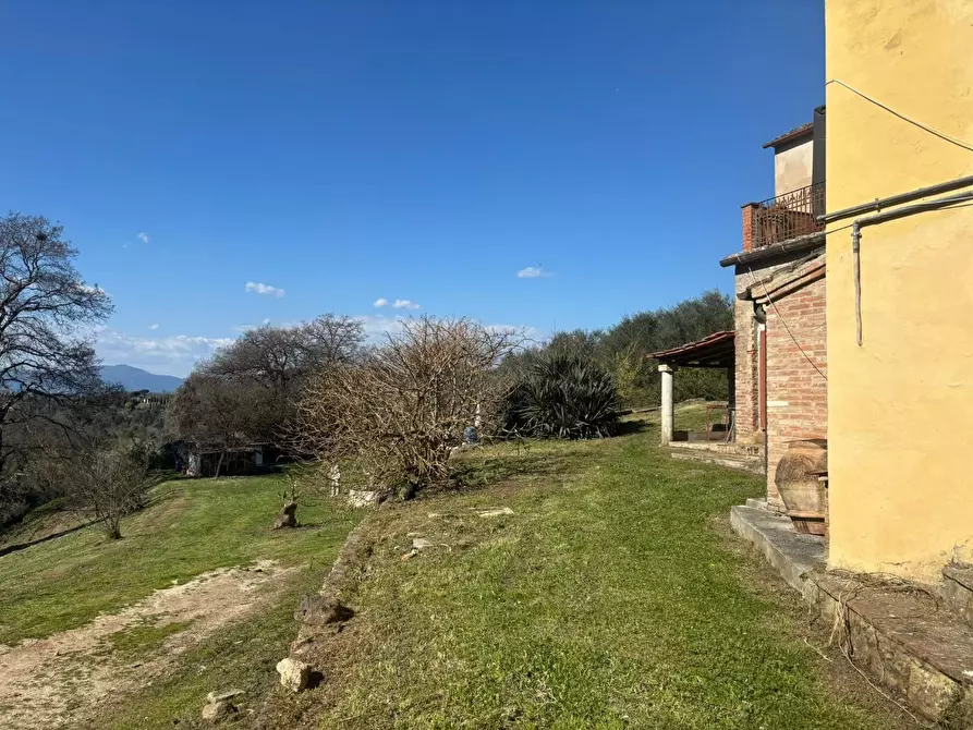 Immagine 17 di Terratetto in vendita  a Palaia