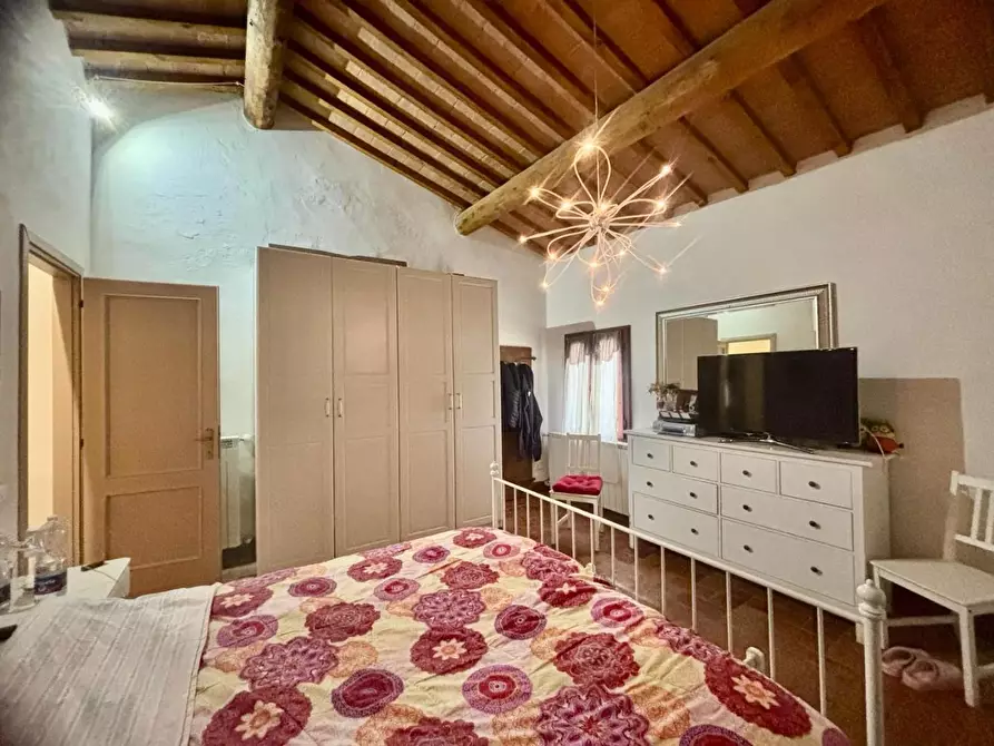 Immagine 33 di Terratetto in vendita  a Palaia