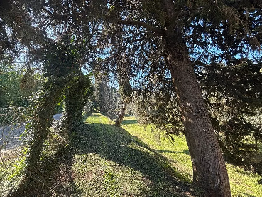 Immagine 10 di Terratetto in vendita  a Palaia