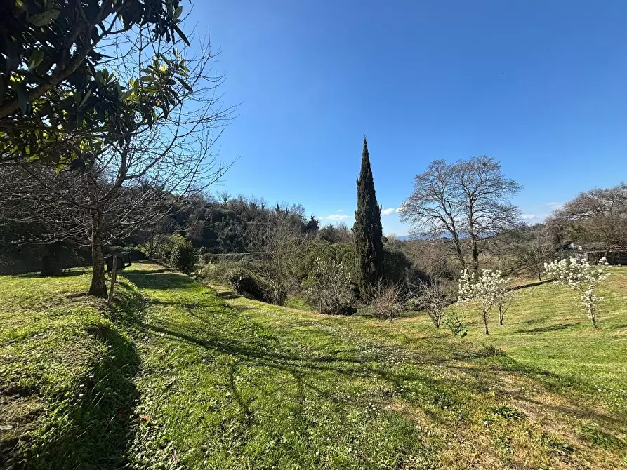 Immagine 14 di Terratetto in vendita  a Palaia