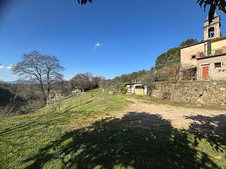 Immagine 13 di Terratetto in vendita  a Palaia