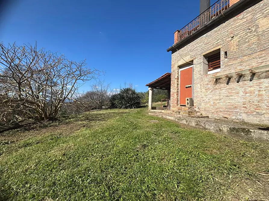 Immagine 20 di Terratetto in vendita  a Palaia