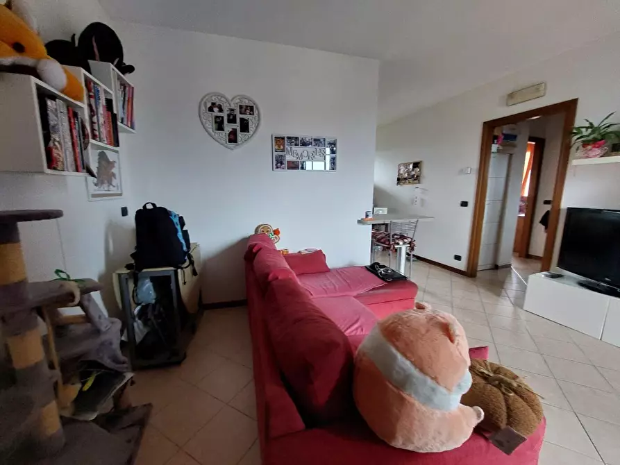 Immagine 4 di Appartamento in vendita  a Castelfranco Di Sotto