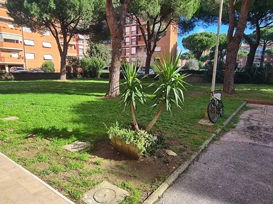 Immagine 21 di Appartamento in vendita  a Livorno