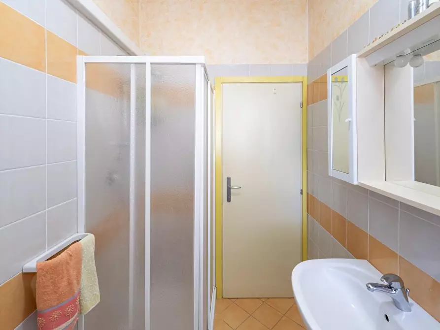 Immagine 23 di Appartamento in vendita  a Rosignano Marittimo