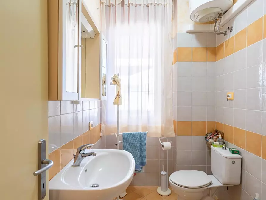 Immagine 25 di Appartamento in vendita  a Rosignano Marittimo