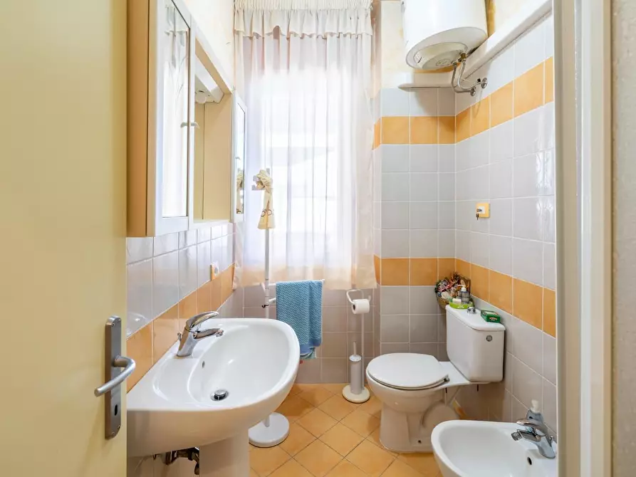 Immagine 24 di Appartamento in vendita  a Rosignano Marittimo