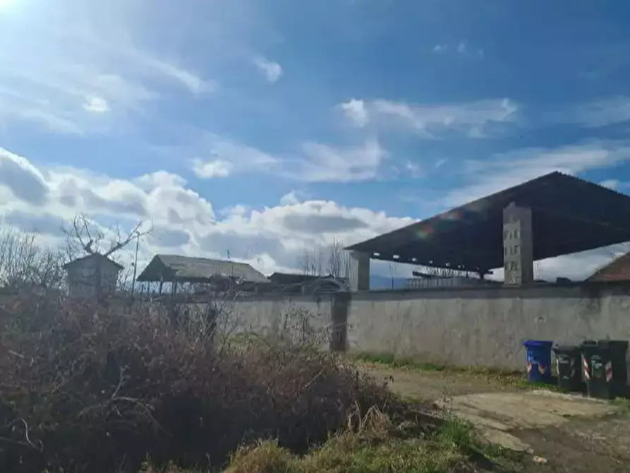 Immagine 3 di Casa colonica in vendita  a Ciriè