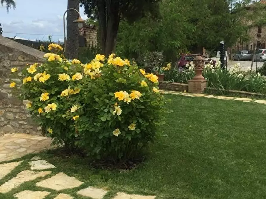 Immagine 6 di Villa in vendita  a Siena