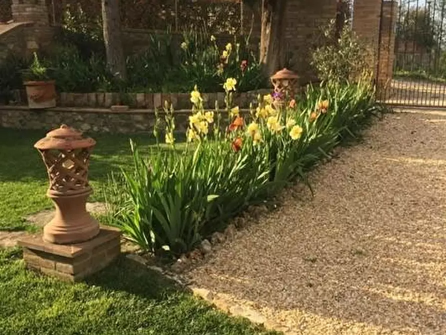 Immagine 7 di Villa in vendita  a Siena