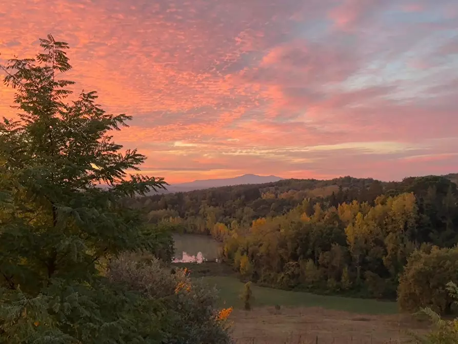 Immagine 8 di Villa in vendita  a Siena