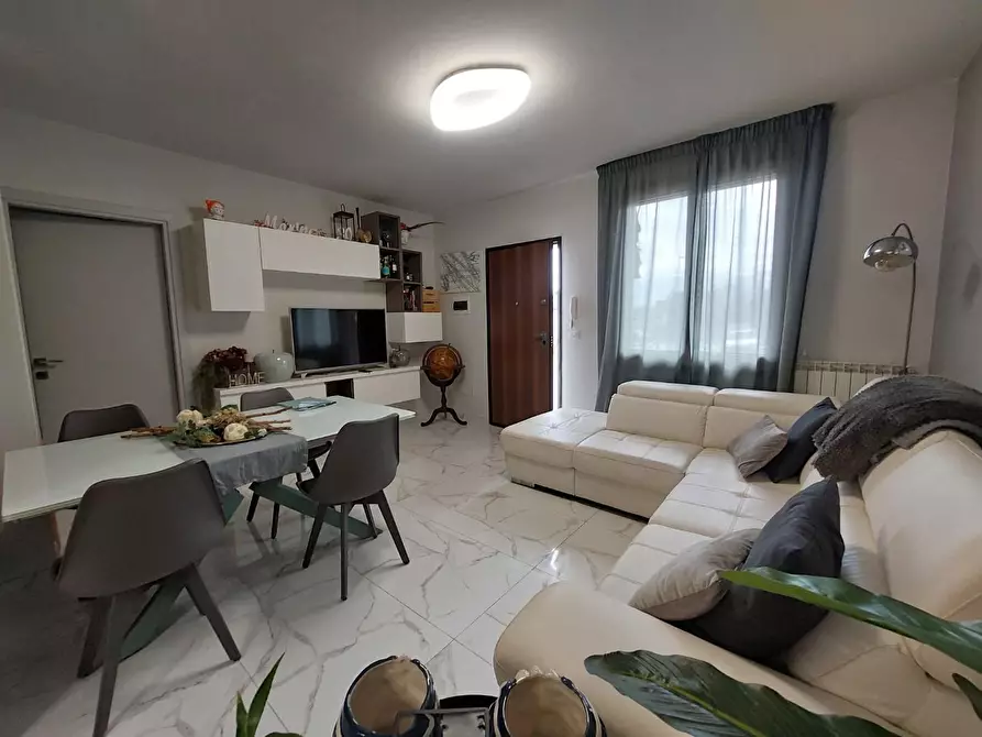 Immagine 6 di Appartamento in vendita  a Terricciola