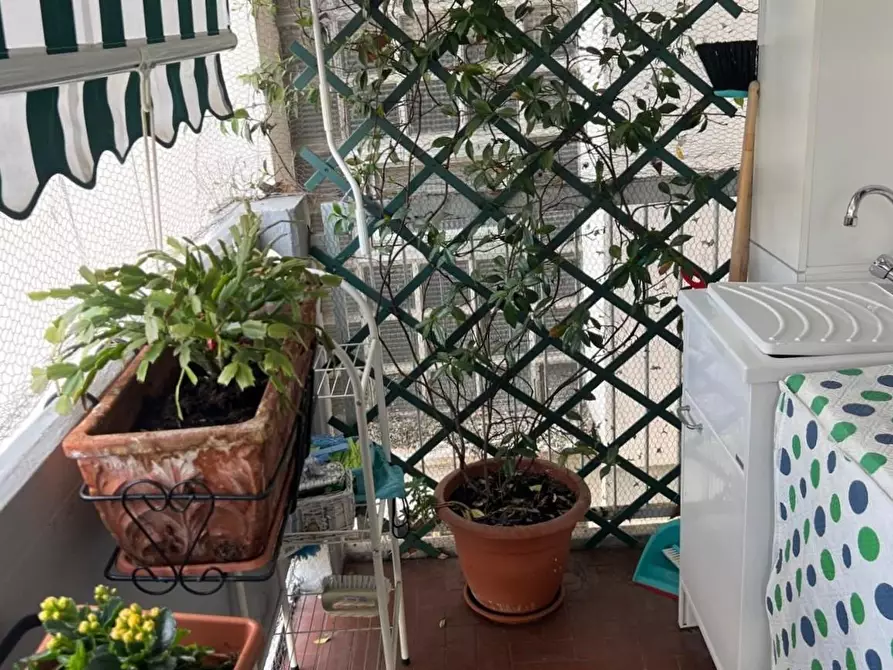 Immagine 10 di Appartamento in vendita  a Carrara