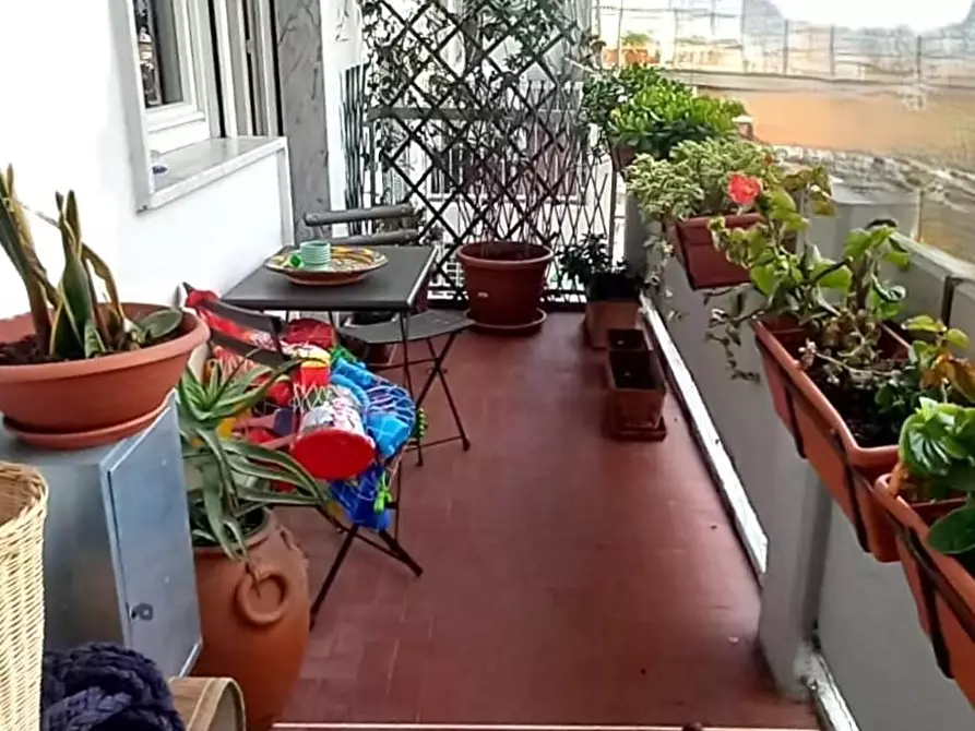 Immagine 54 di Appartamento in vendita  a Carrara