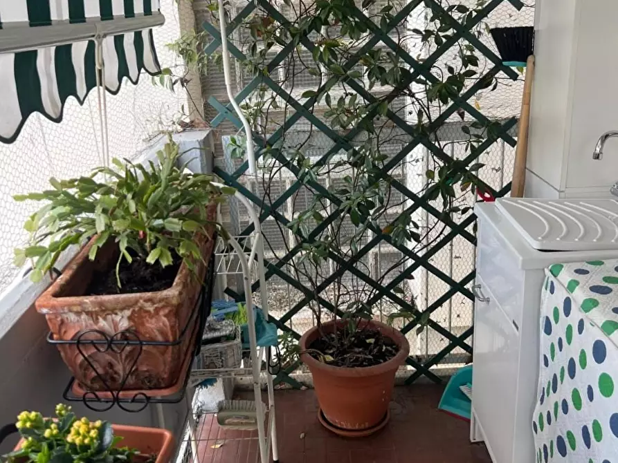 Immagine 11 di Appartamento in vendita  a Carrara