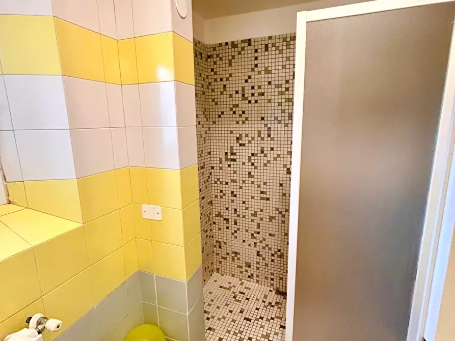 Immagine 37 di Appartamento in vendita  a Pisa