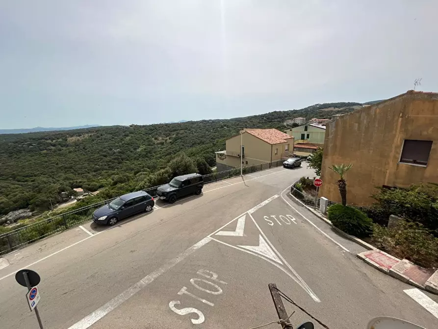 Immagine 13 di Terratetto in vendita  a Luogosanto