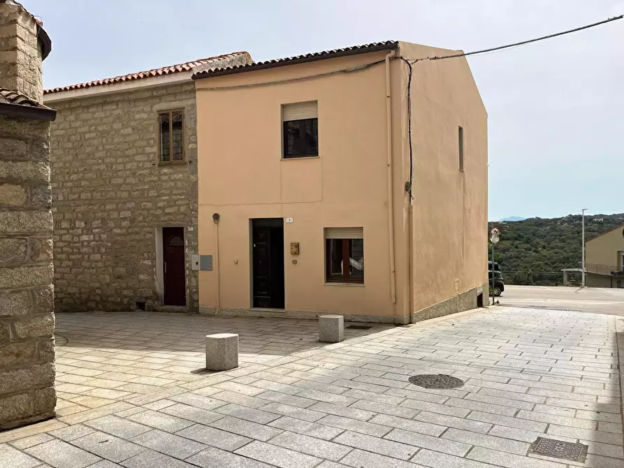 Immagine 3 di Terratetto in vendita  a Luogosanto