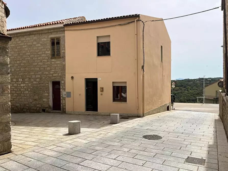 Immagine 4 di Terratetto in vendita  a Luogosanto