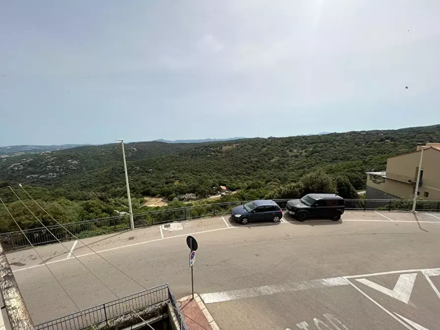 Immagine 11 di Terratetto in vendita  a Luogosanto
