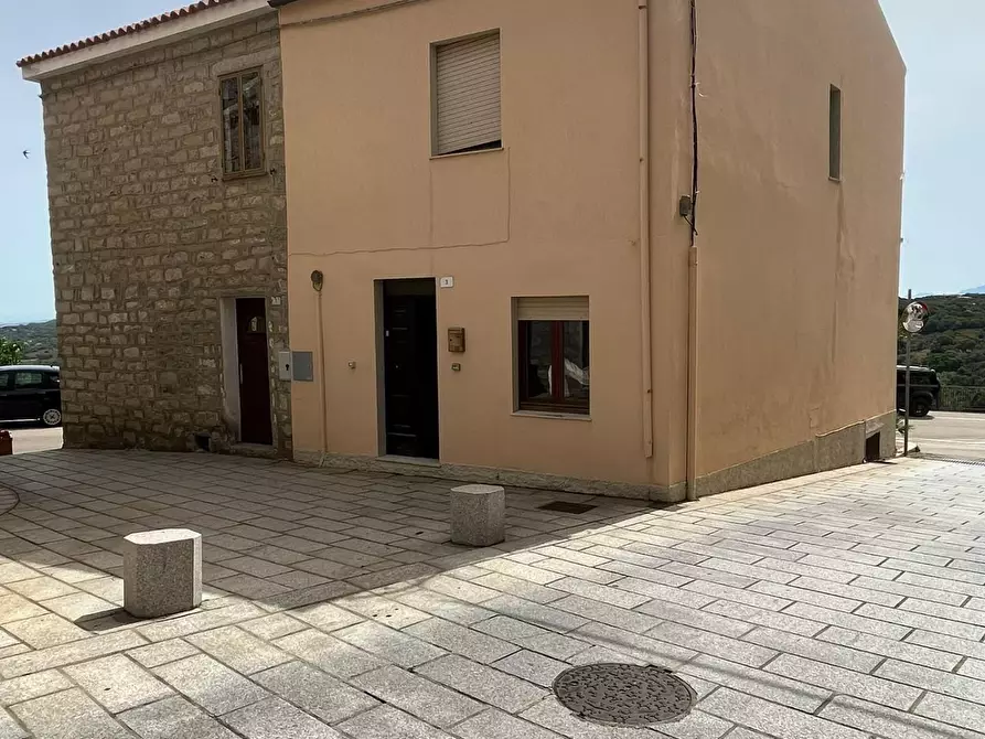 Immagine 52 di Terratetto in vendita  a Luogosanto
