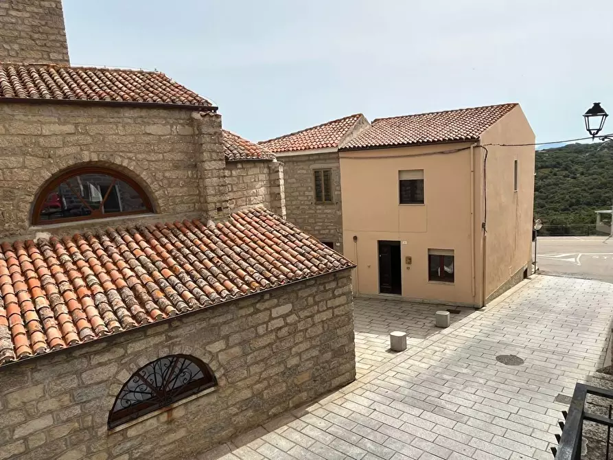 Immagine 5 di Terratetto in vendita  a Luogosanto