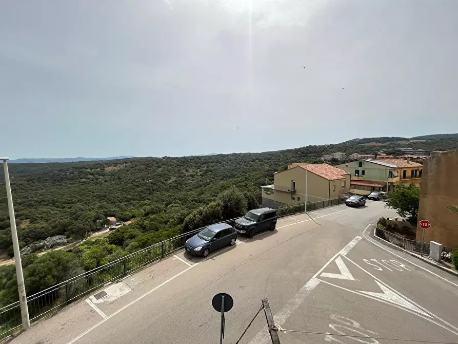 Immagine 8 di Terratetto in vendita  a Luogosanto