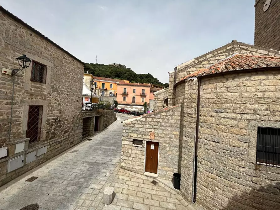 Immagine 27 di Terratetto in vendita  a Luogosanto