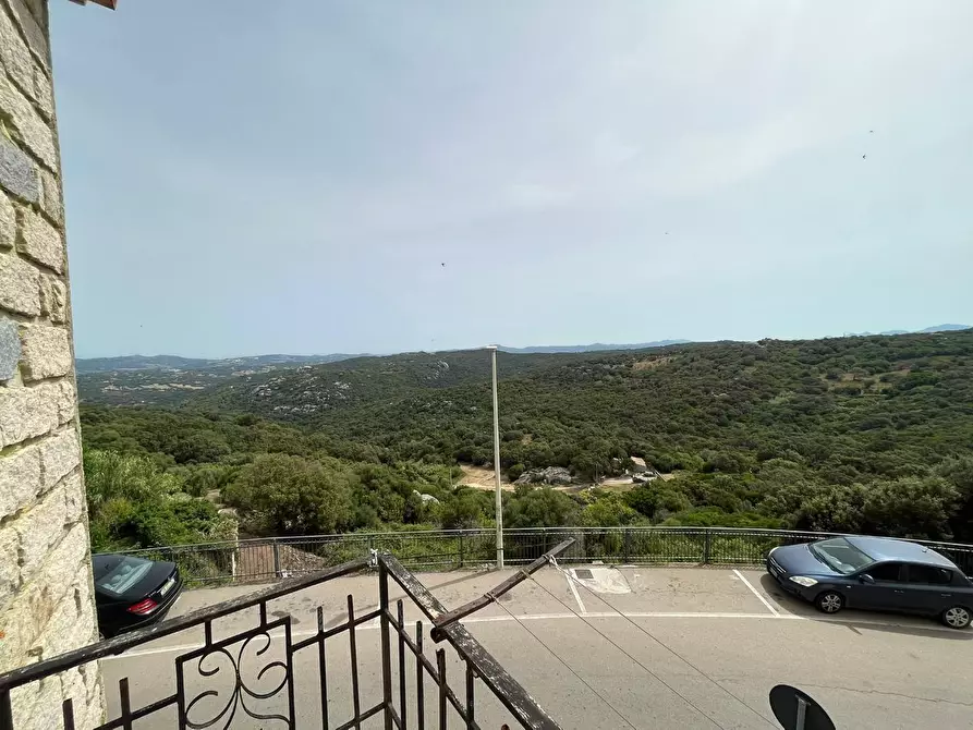 Immagine 10 di Terratetto in vendita  a Luogosanto