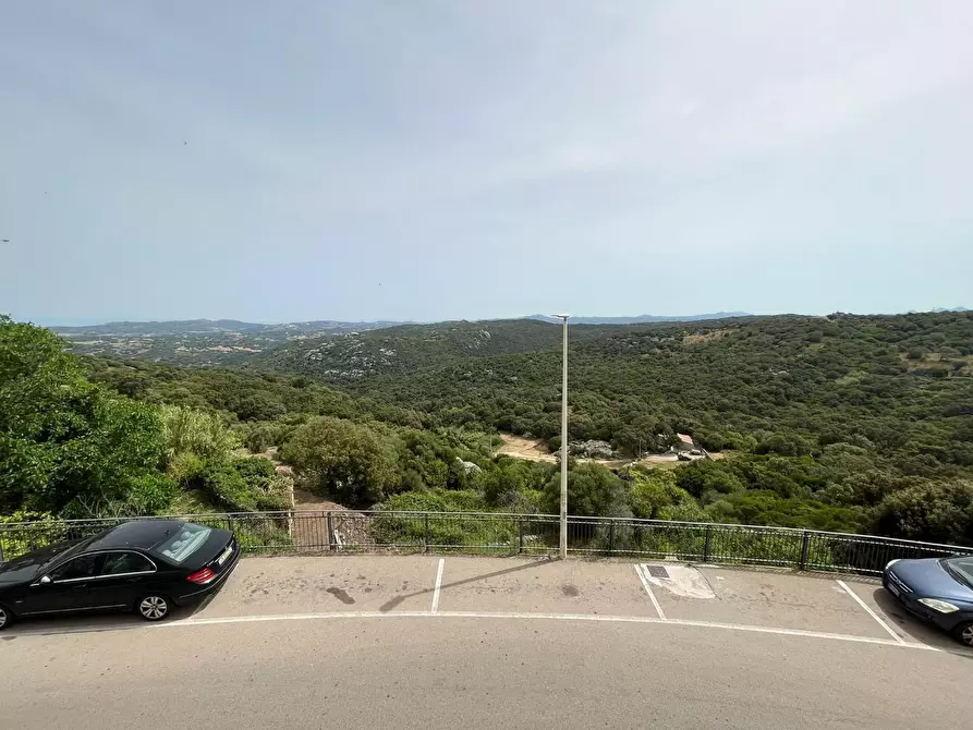 Immagine 9 di Terratetto in vendita  a Luogosanto