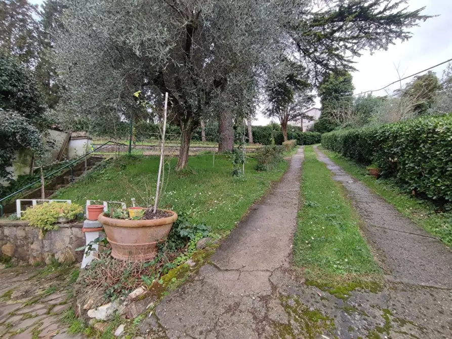 Immagine 66 di Villa in vendita  a Collesalvetti
