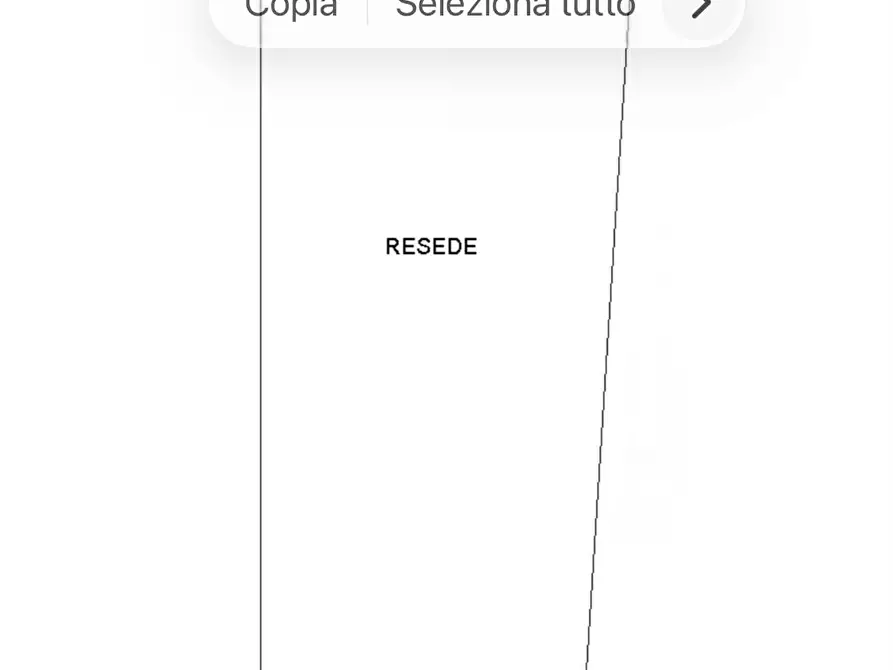 Immagine 5 di Terratetto in vendita  a Pisa