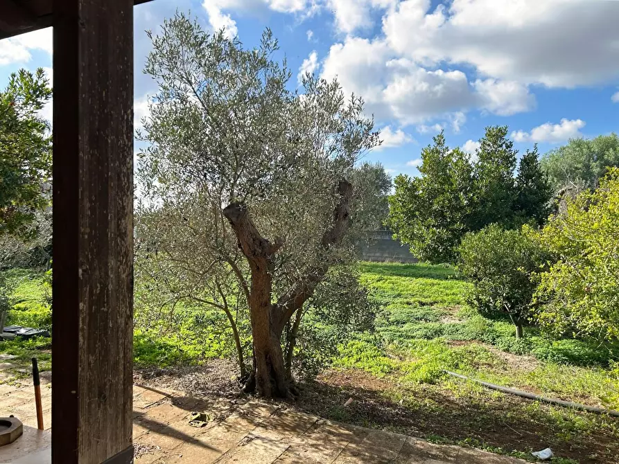 Immagine 44 di Villa in vendita  a Nardo'