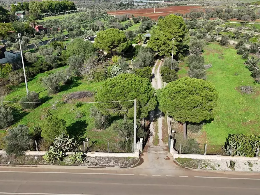 Immagine 55 di Villa in vendita  a Nardo'