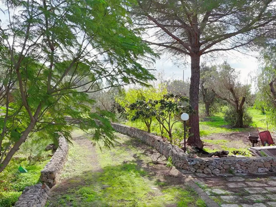 Immagine 45 di Villa in vendita  a Nardo'