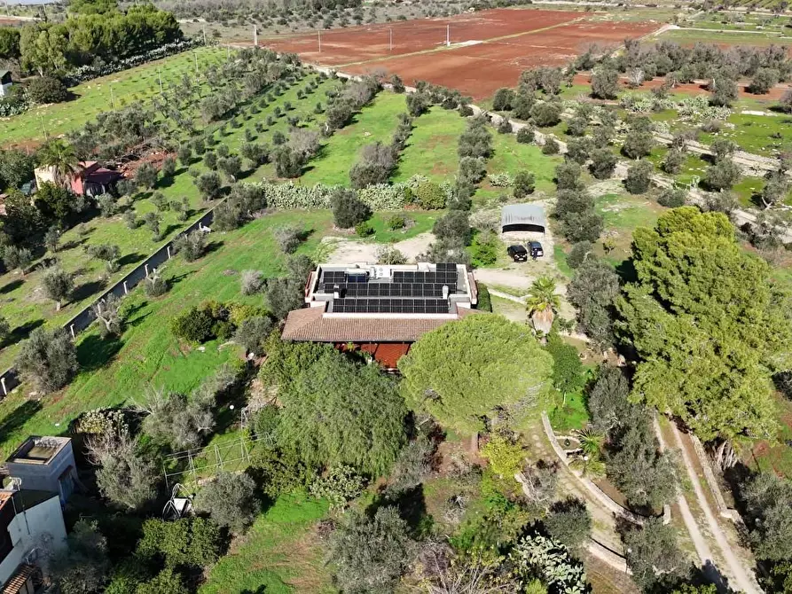 Immagine 52 di Villa in vendita  a Nardo'