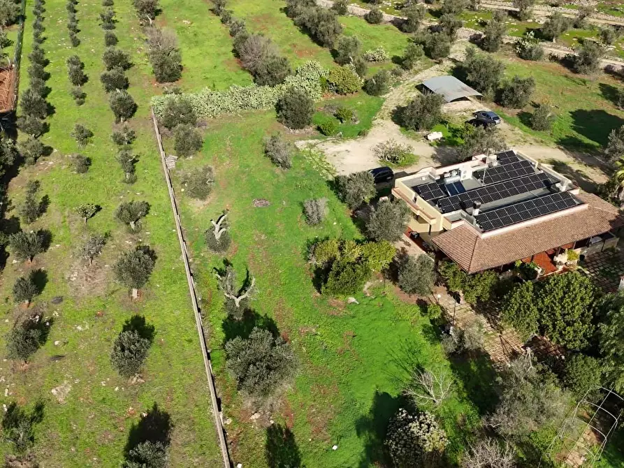 Immagine 56 di Villa in vendita  a Nardo'