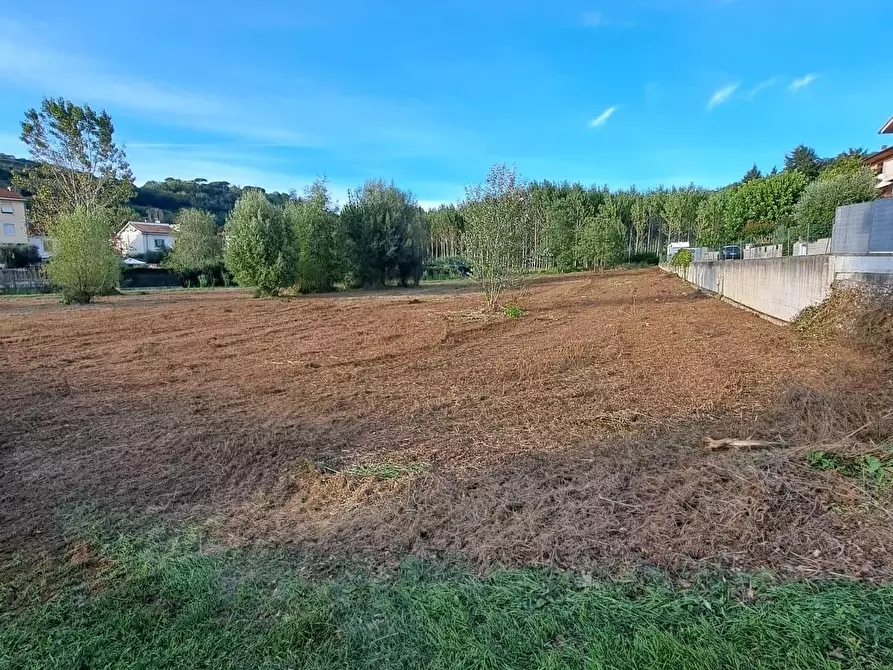 Immagine 4 di Terreno agricolo in vendita  a Palaia