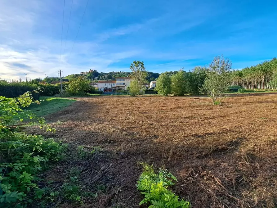 Immagine 3 di Terreno agricolo in vendita  a Palaia