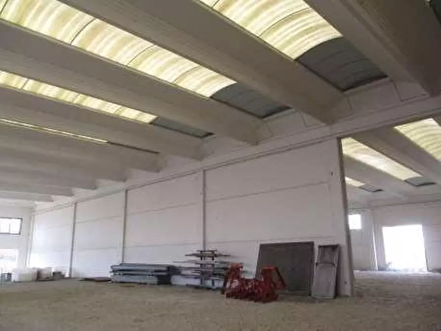 Immagine 3 di Capannone industriale in vendita  a Sale
