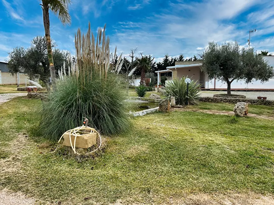 Immagine 19 di Villa in vendita  a Nardo'