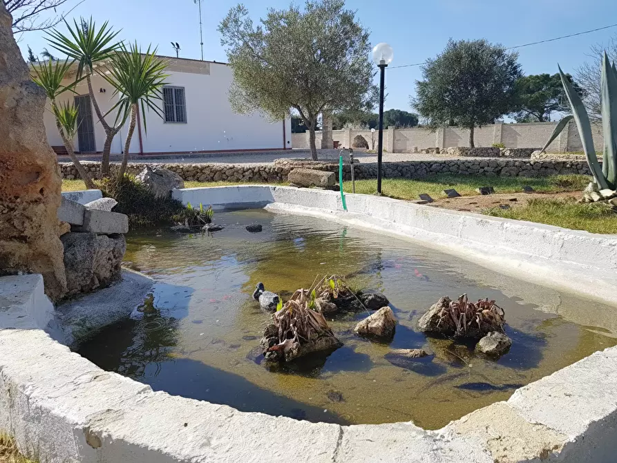 Immagine 17 di Villa in vendita  a Nardo'