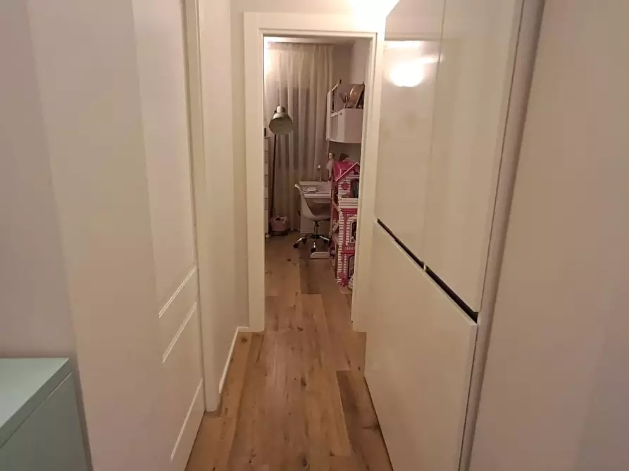 Immagine 36 di Casa trifamiliare in vendita  a Montescudaio