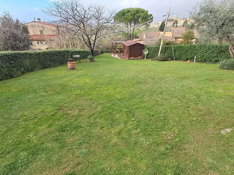 Immagine 10 di Casa trifamiliare in vendita  a Montescudaio