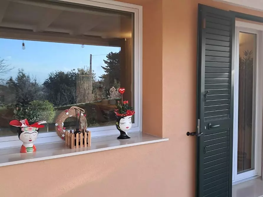 Immagine 16 di Casa trifamiliare in vendita  a Montescudaio
